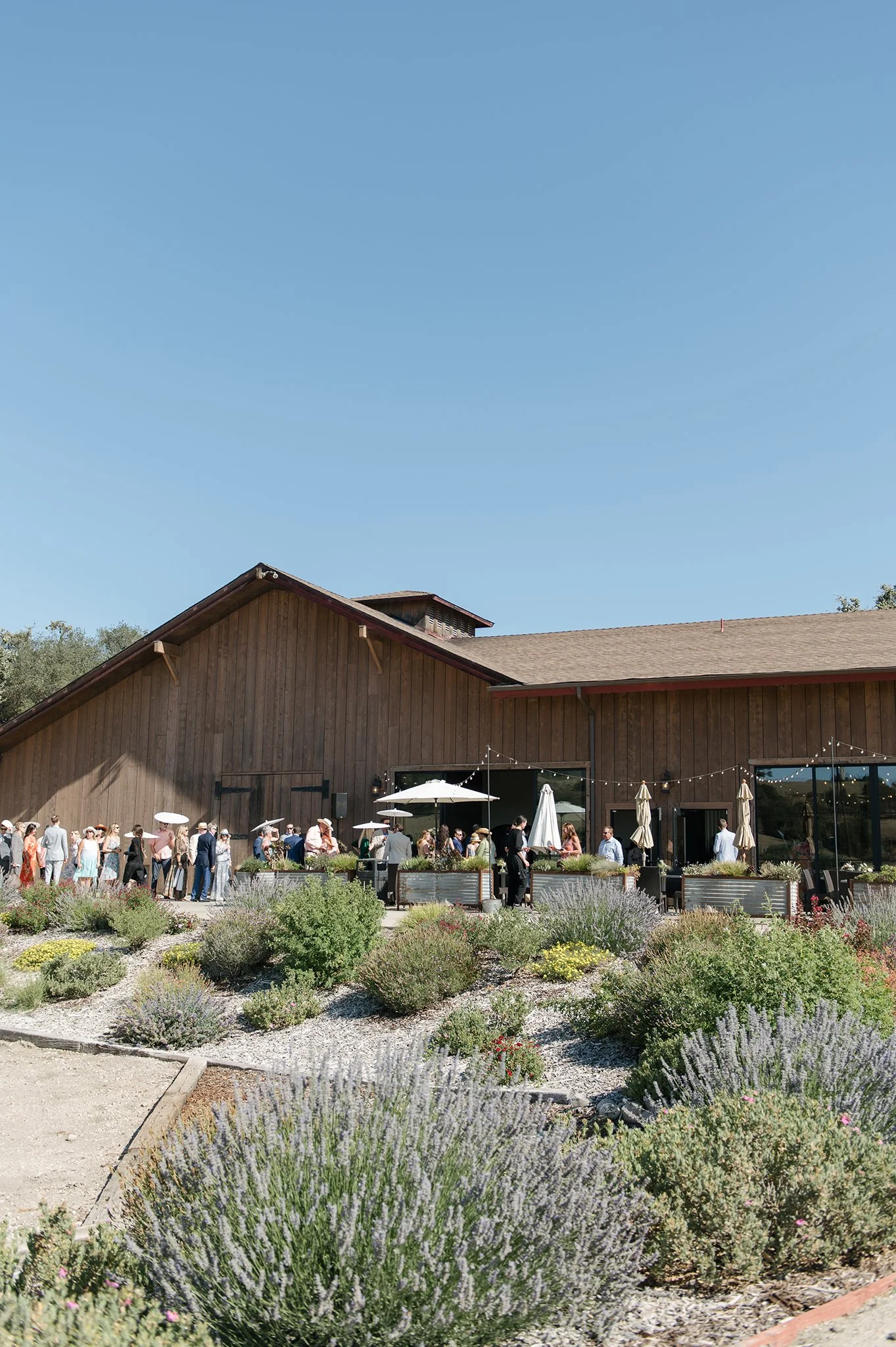 Los-Olivos-Winery-Wedding-Photographer-036.jpg