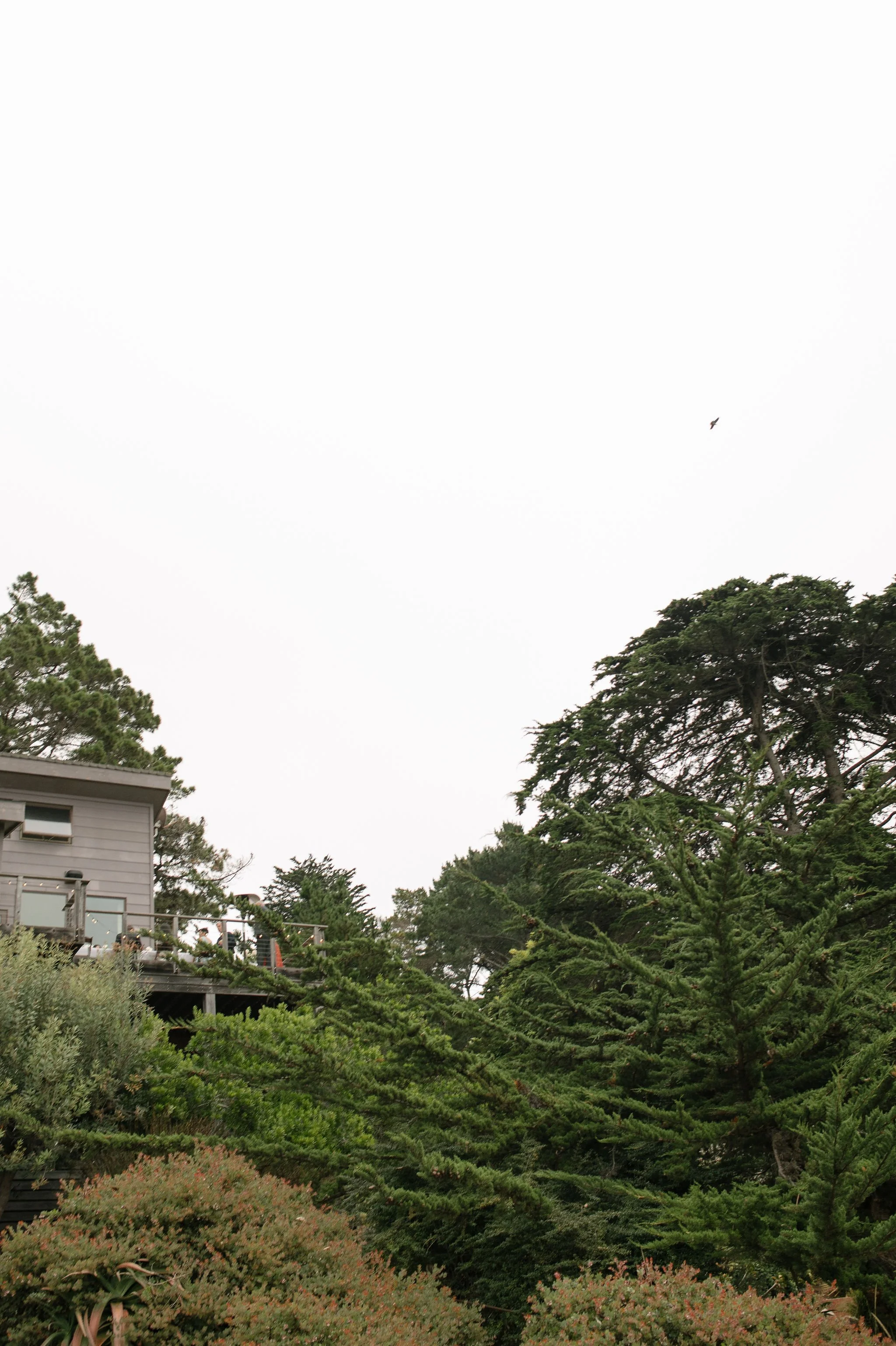 Big-Sur-Wedding-Photographer-362.jpg