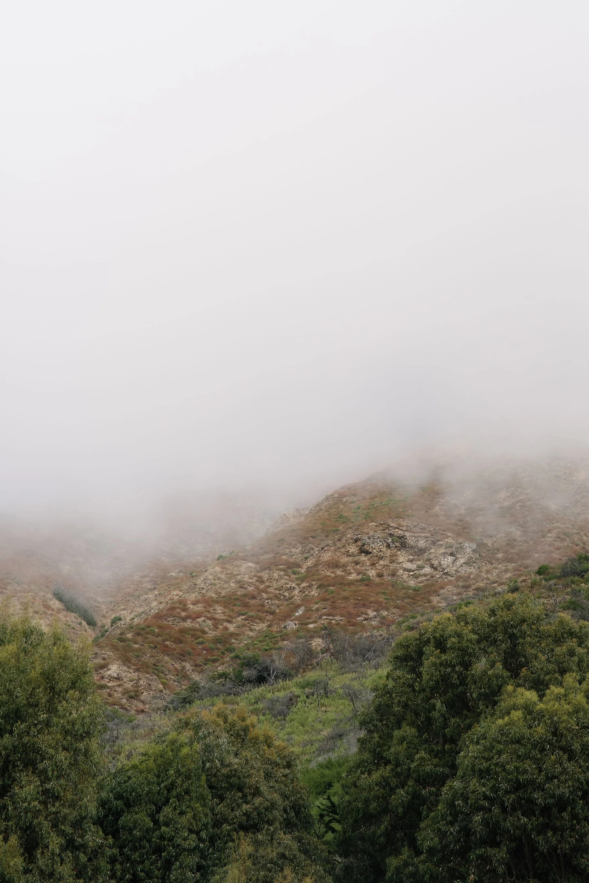 Big-Sur-Wedding-Photographer-013.jpg