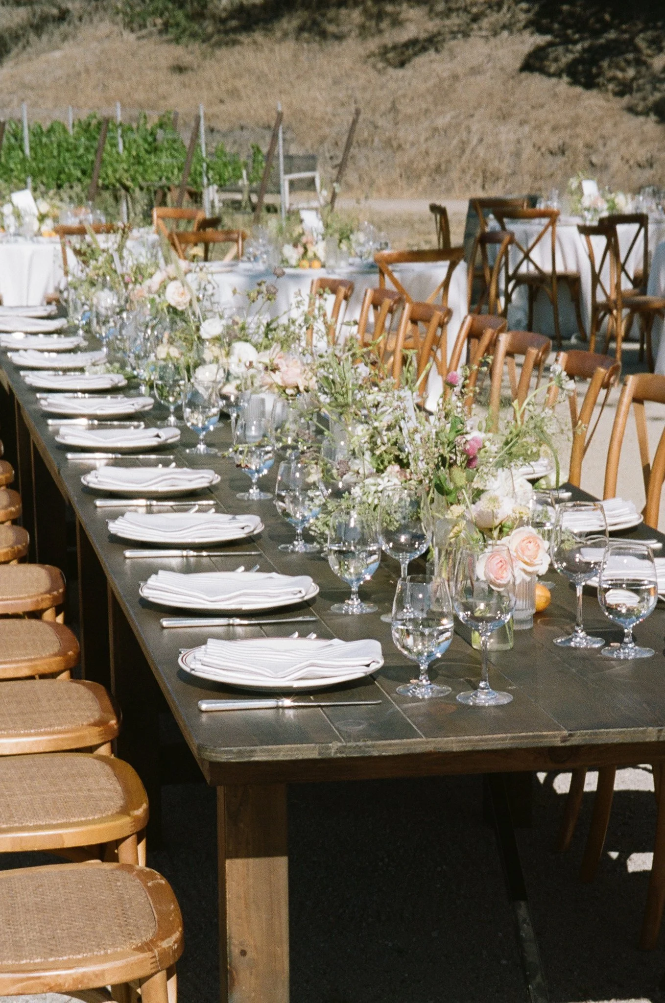 aca-Mesa-Winery-Wedding-Photographer-3.jpg