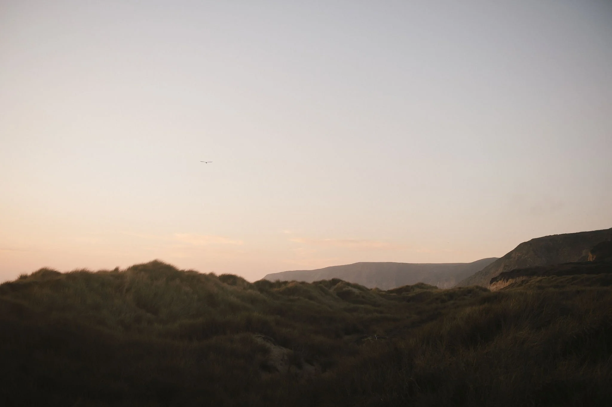 Point-Reyes-Engagement-Session-164.jpg
