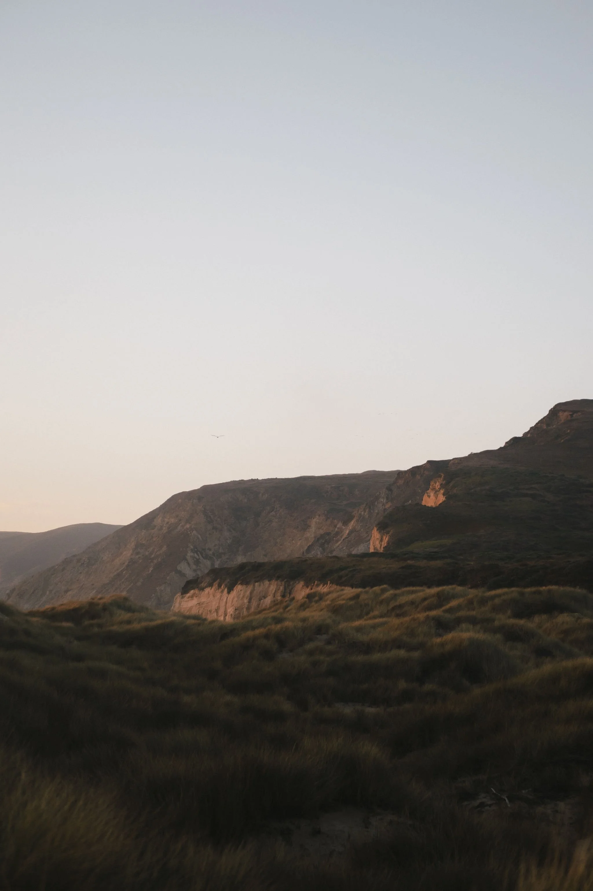 Point-Reyes-Engagement-Session-165.jpg
