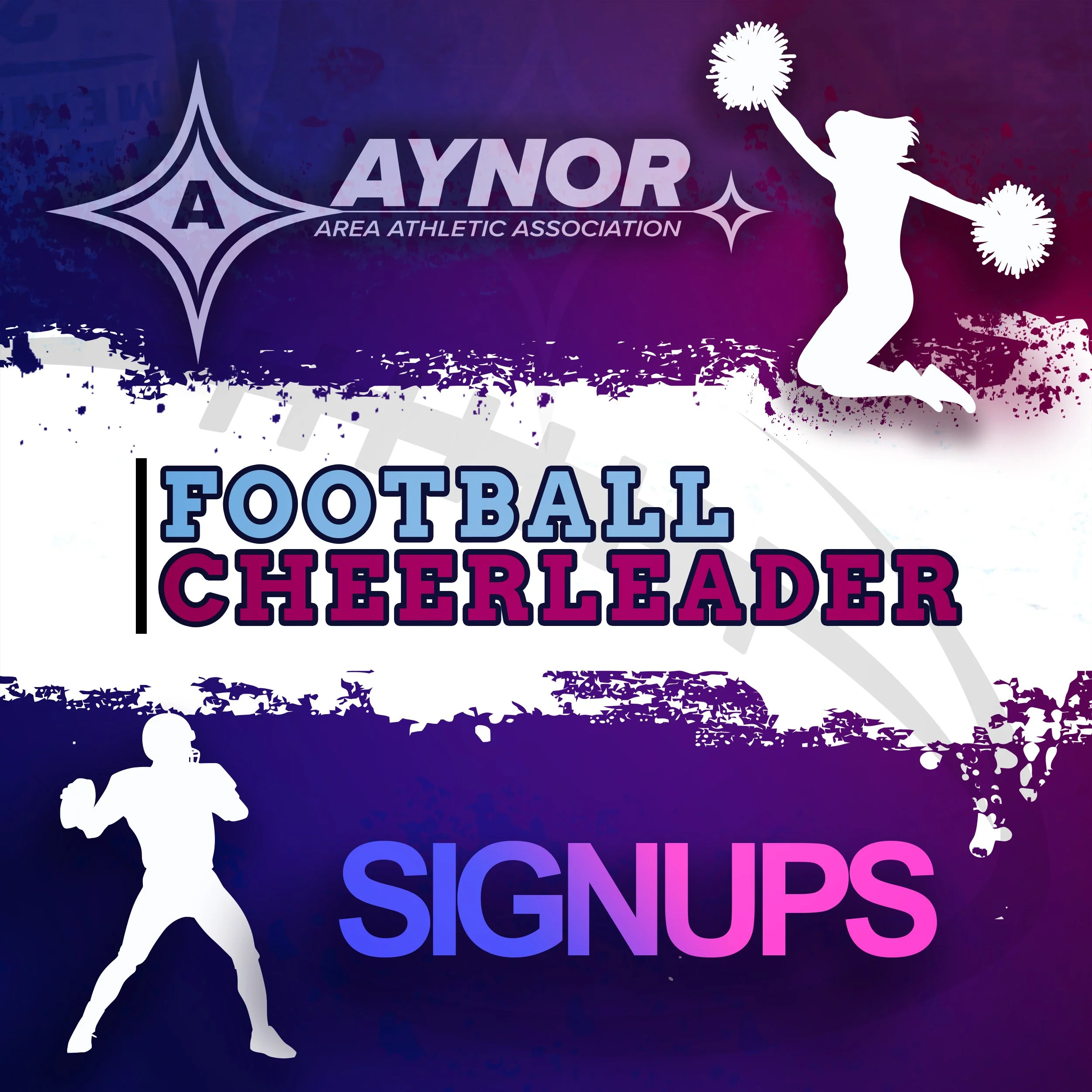 Aynor Area Athletic Association