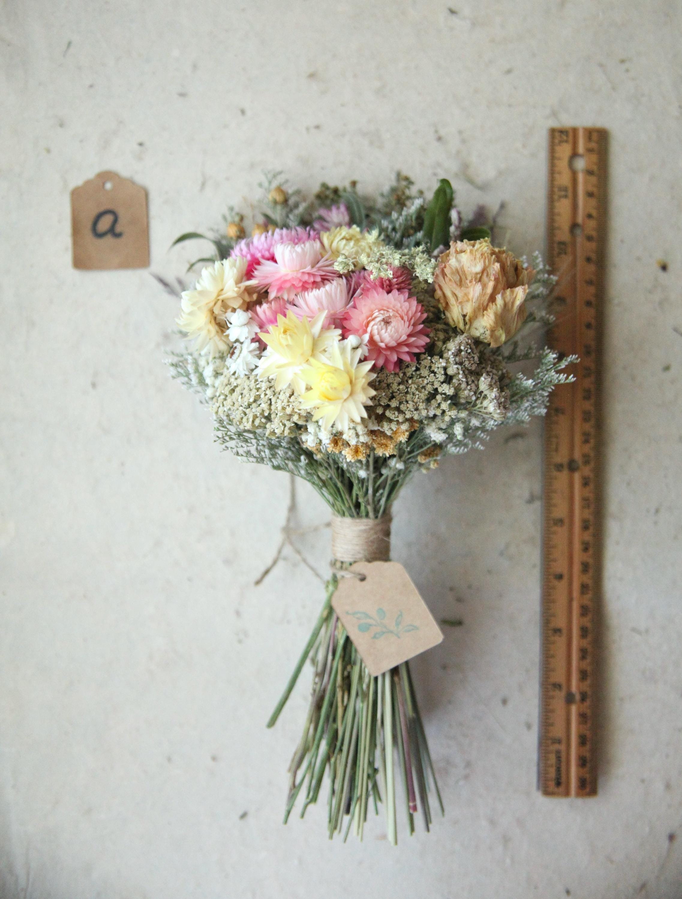 https://i.etsystatic.com/30116066/r/il/af8bfa/6569971711/il_fullxfull.6569971711_ptni.jpg