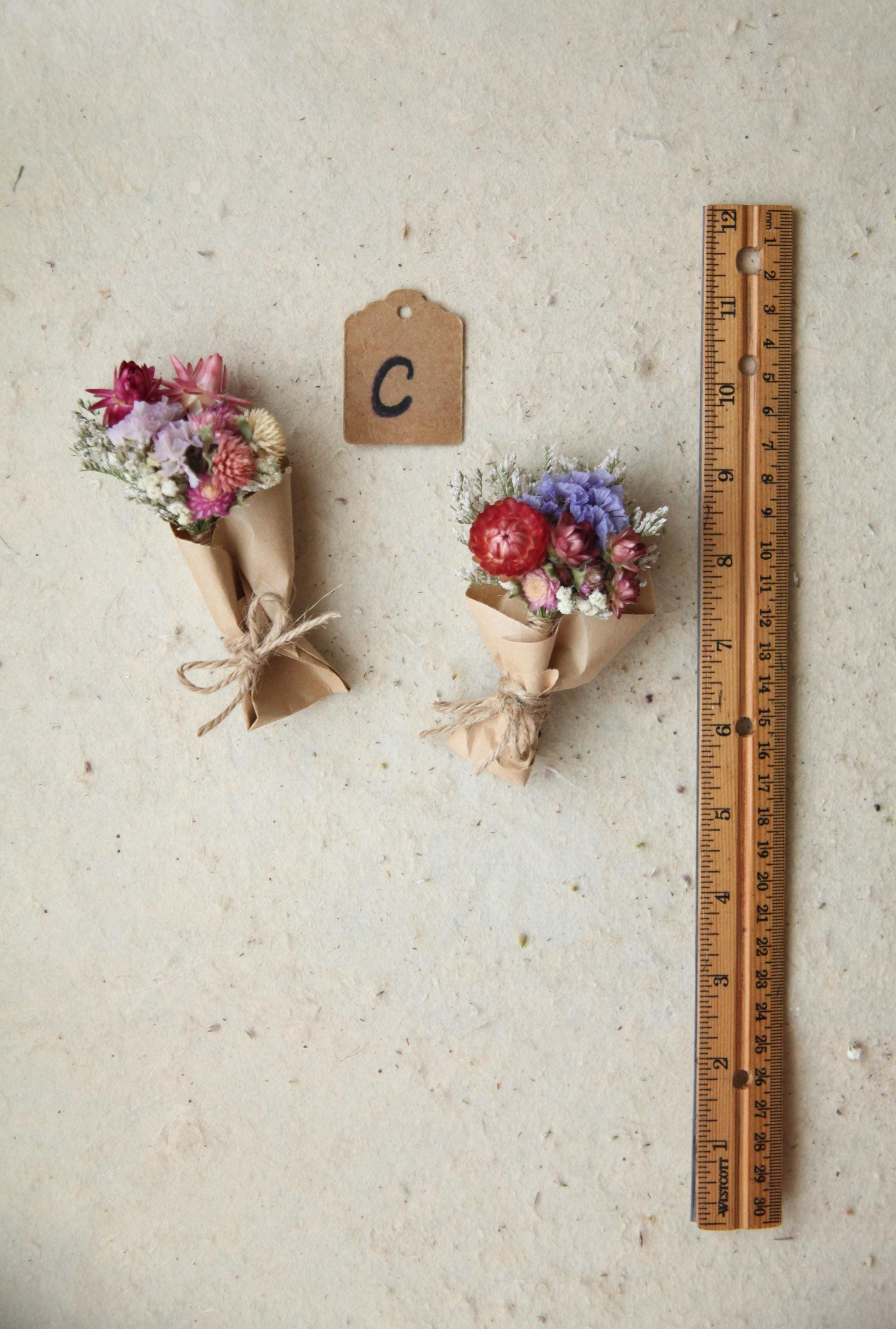 https://i.etsystatic.com/30116066/r/il/2ea04c/6558527785/il_fullxfull.6558527785_ga6i.jpg