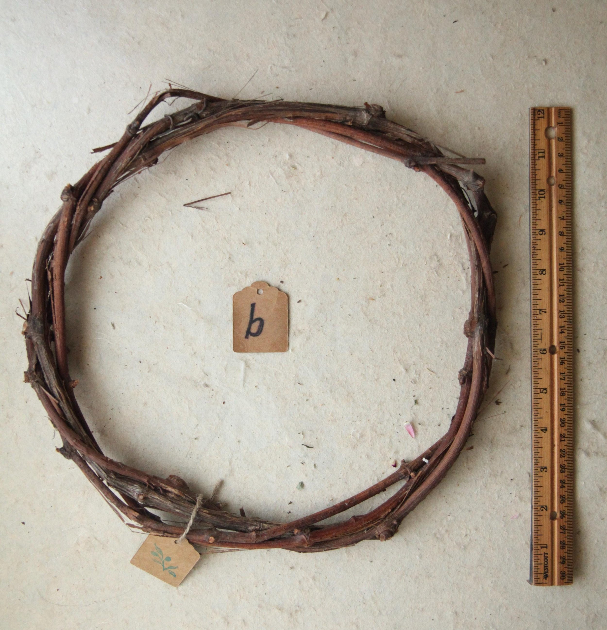 https://i.etsystatic.com/30116066/r/il/c2901e/6443578266/il_fullxfull.6443578266_1pap.jpg