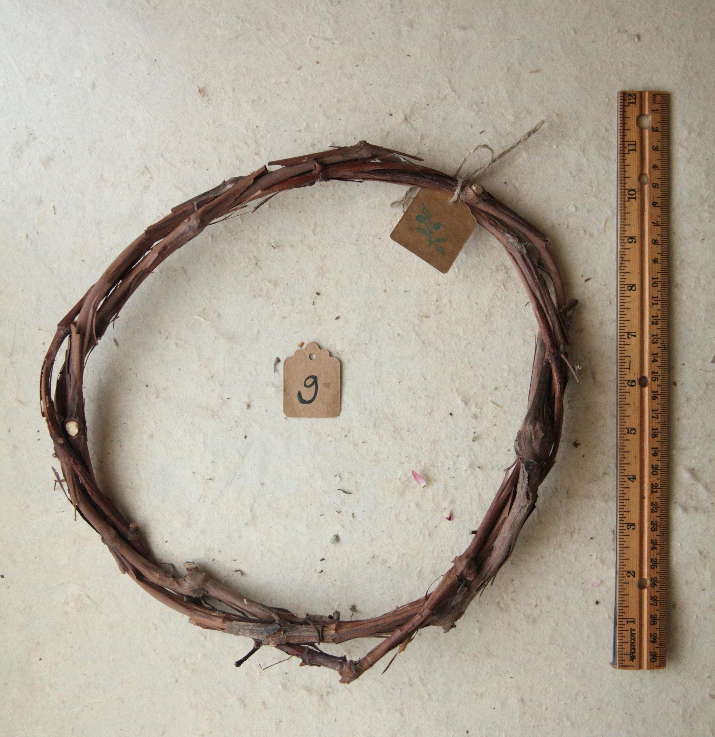 https://i.etsystatic.com/30116066/r/il/883772/6443580640/il_fullxfull.6443580640_ohfk.jpg