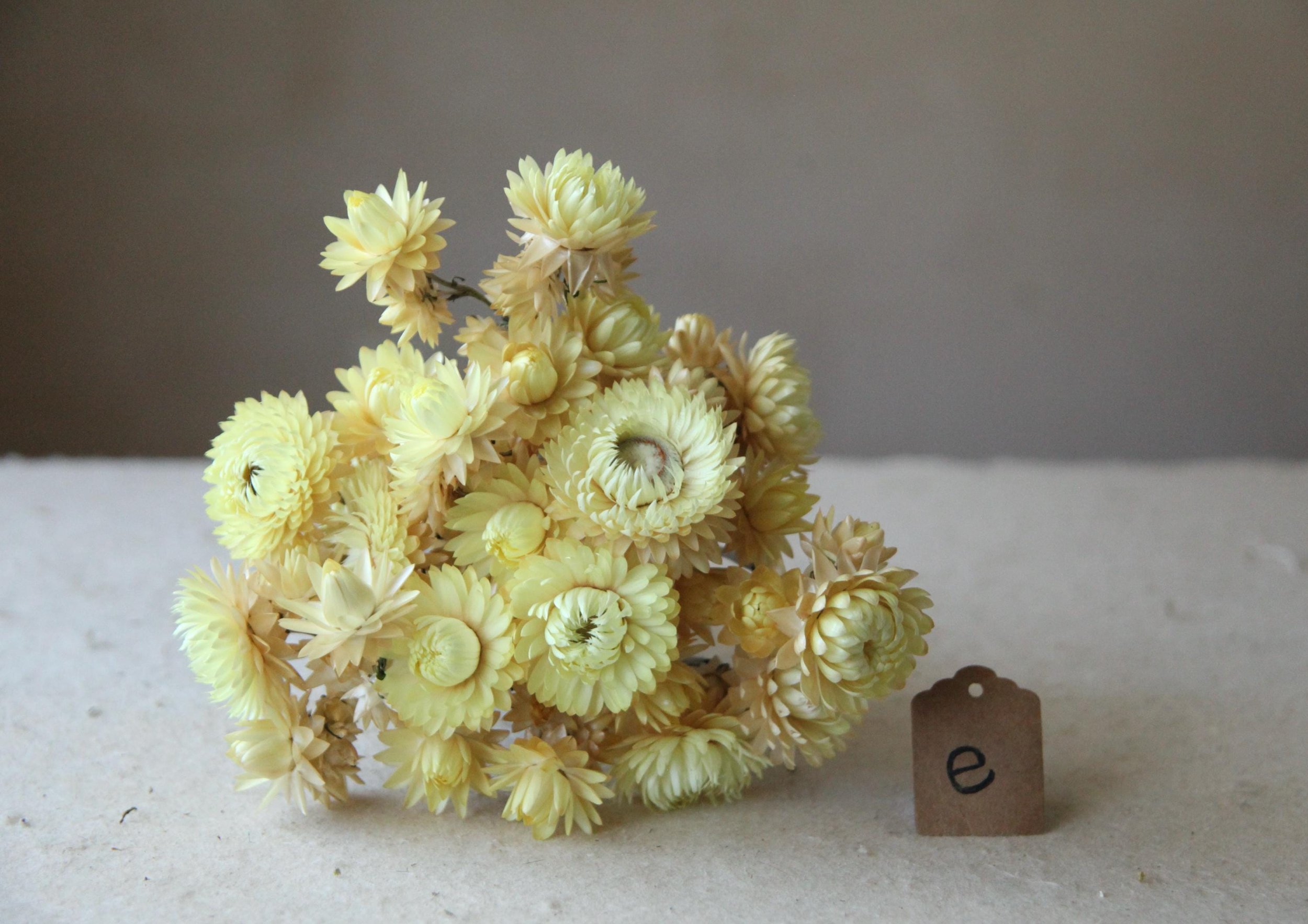 https://i.etsystatic.com/30116066/r/il/fea370/6478554989/il_fullxfull.6478554989_m38w.jpg