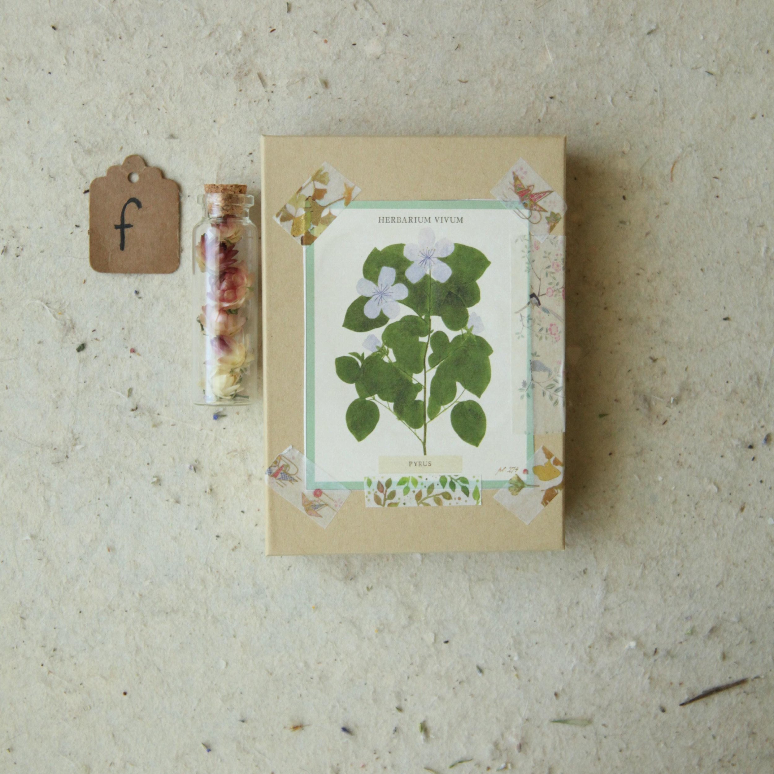 https://i.etsystatic.com/30116066/r/il/2262c9/6289248180/il_fullxfull.6289248180_3d5r.jpg