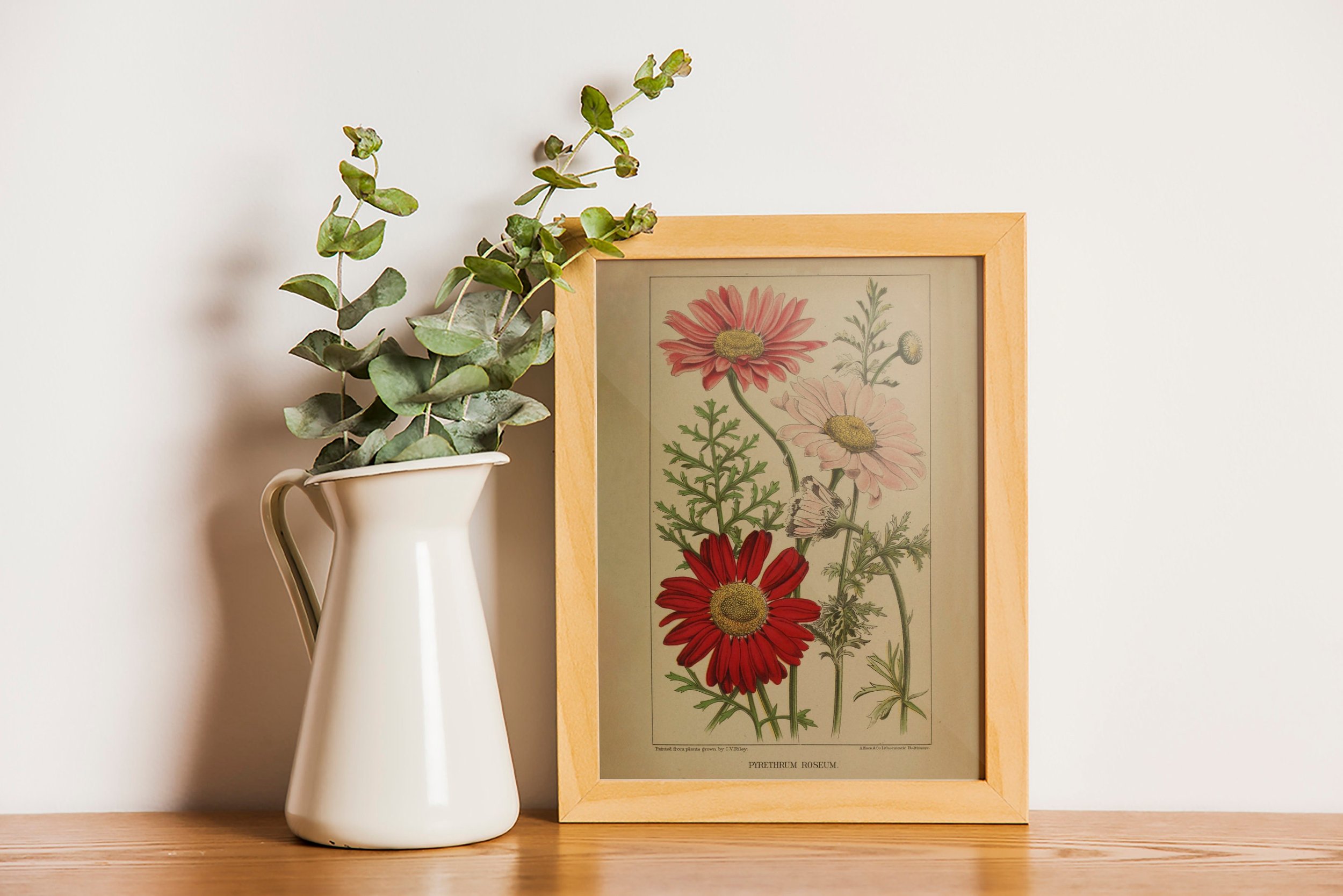https://i.etsystatic.com/30116066/r/il/cb0048/5605202898/il_fullxfull.5605202898_er8h.jpg