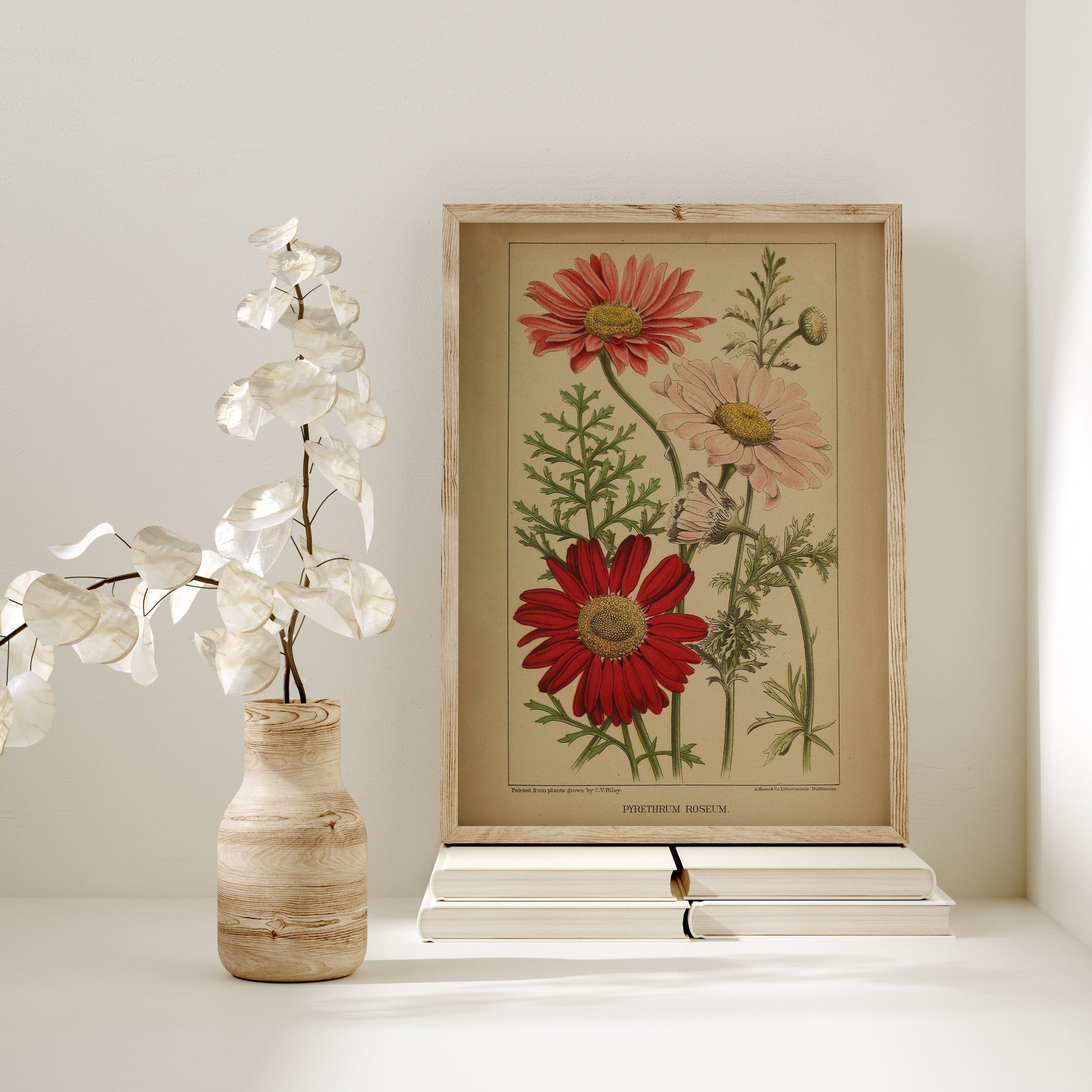 https://i.etsystatic.com/30116066/r/il/10b776/5605203562/il_fullxfull.5605203562_3x9o.jpg
