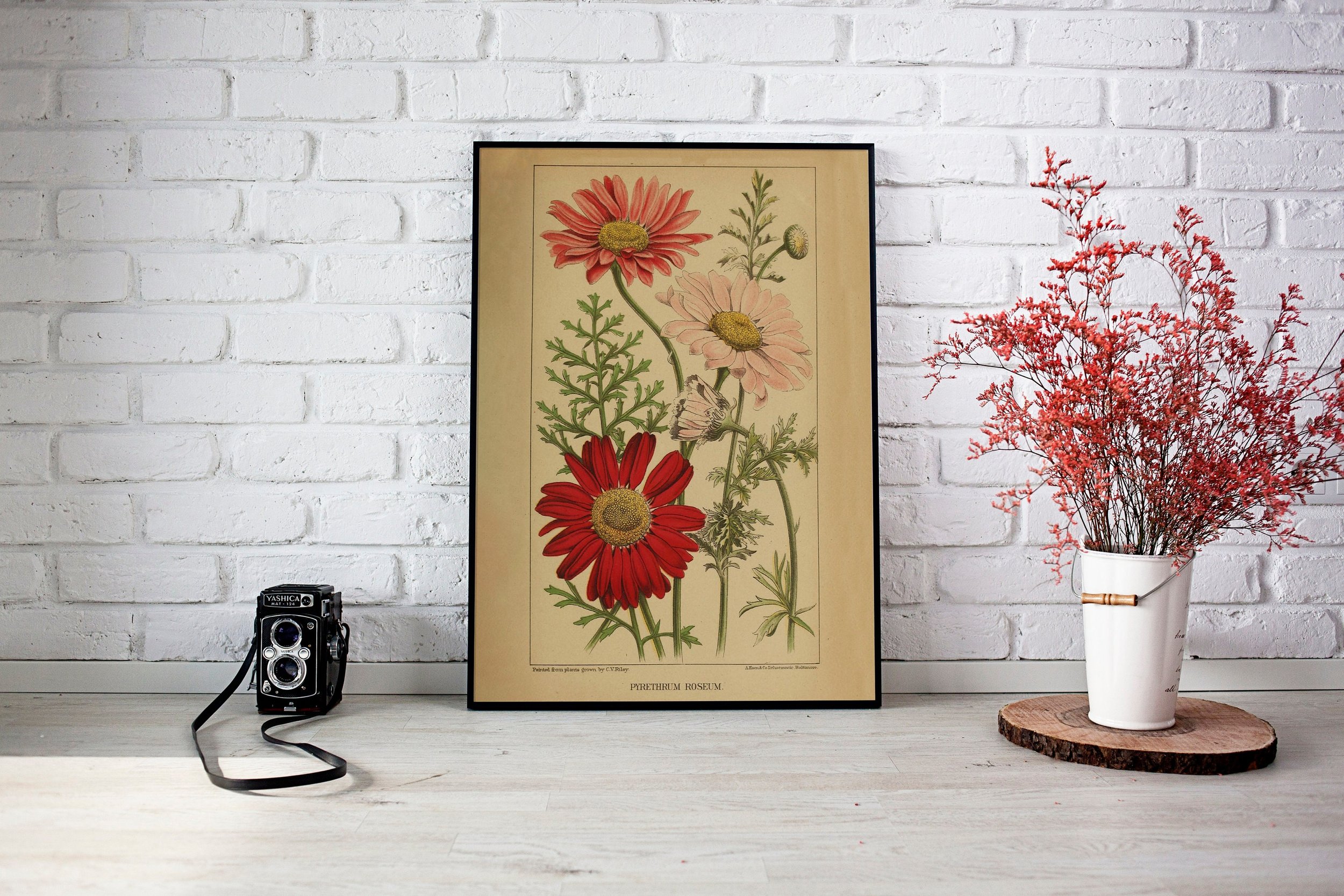 https://i.etsystatic.com/30116066/r/il/c3d035/5605204224/il_fullxfull.5605204224_if70.jpg