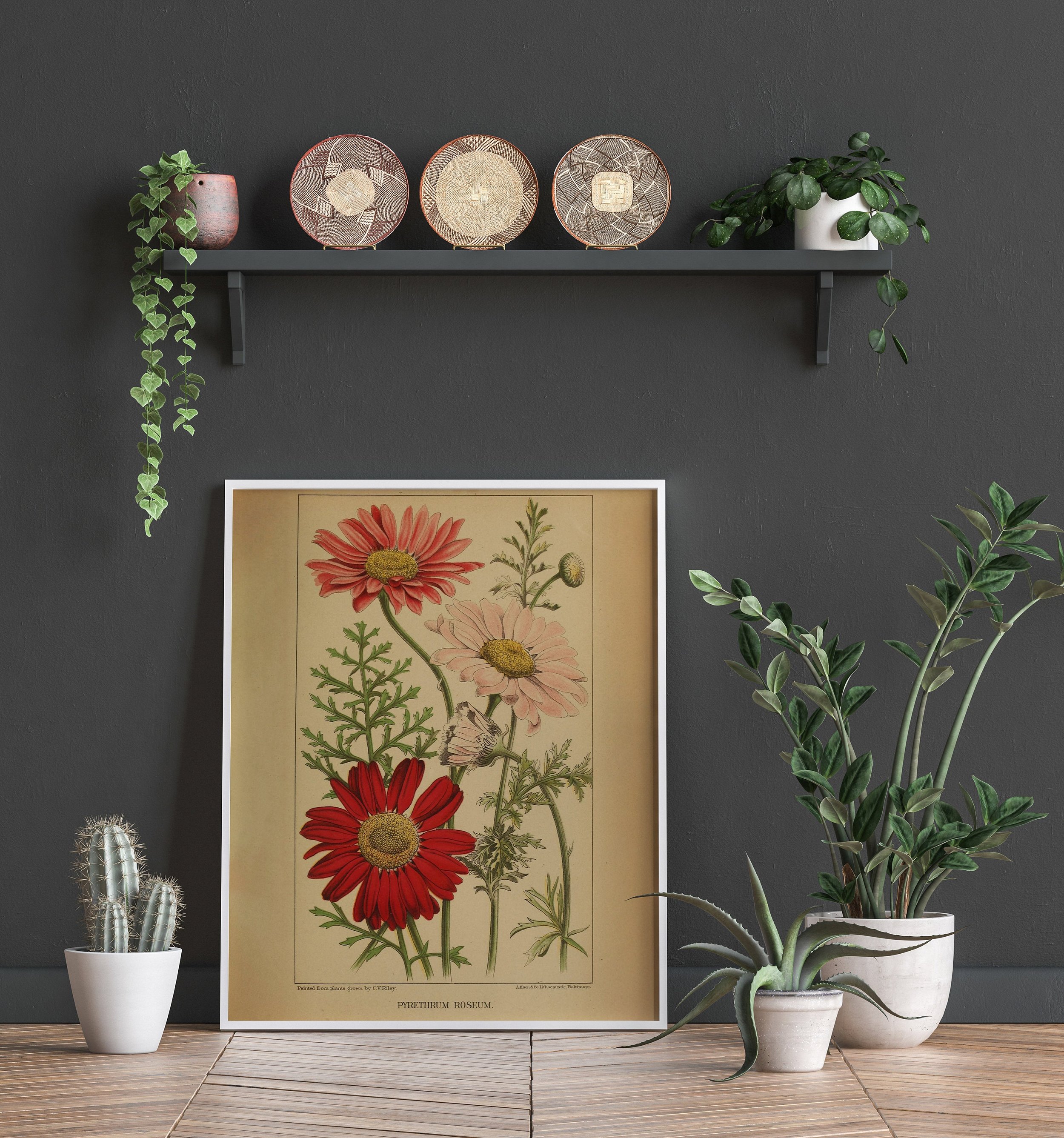 https://i.etsystatic.com/30116066/r/il/501014/5653292493/il_fullxfull.5653292493_3qx0.jpg