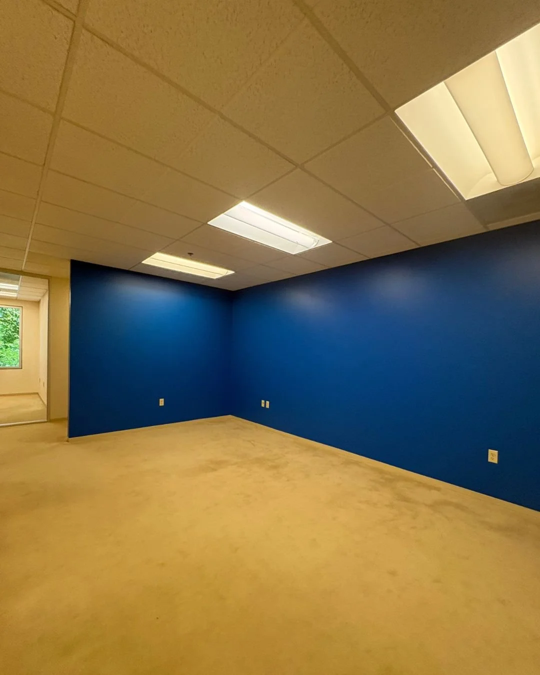 blue wall phil 2.jpg