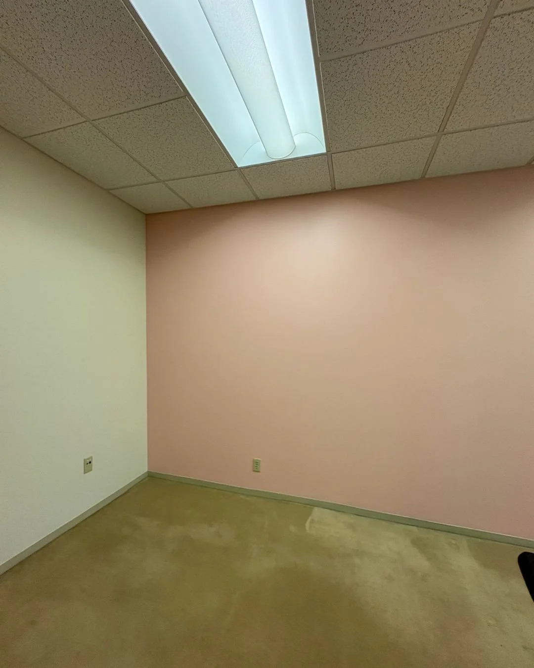 pink office 2.jpg