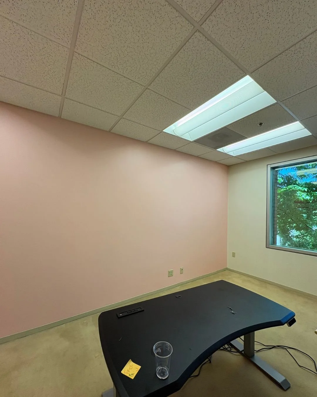 pink office 1.jpg
