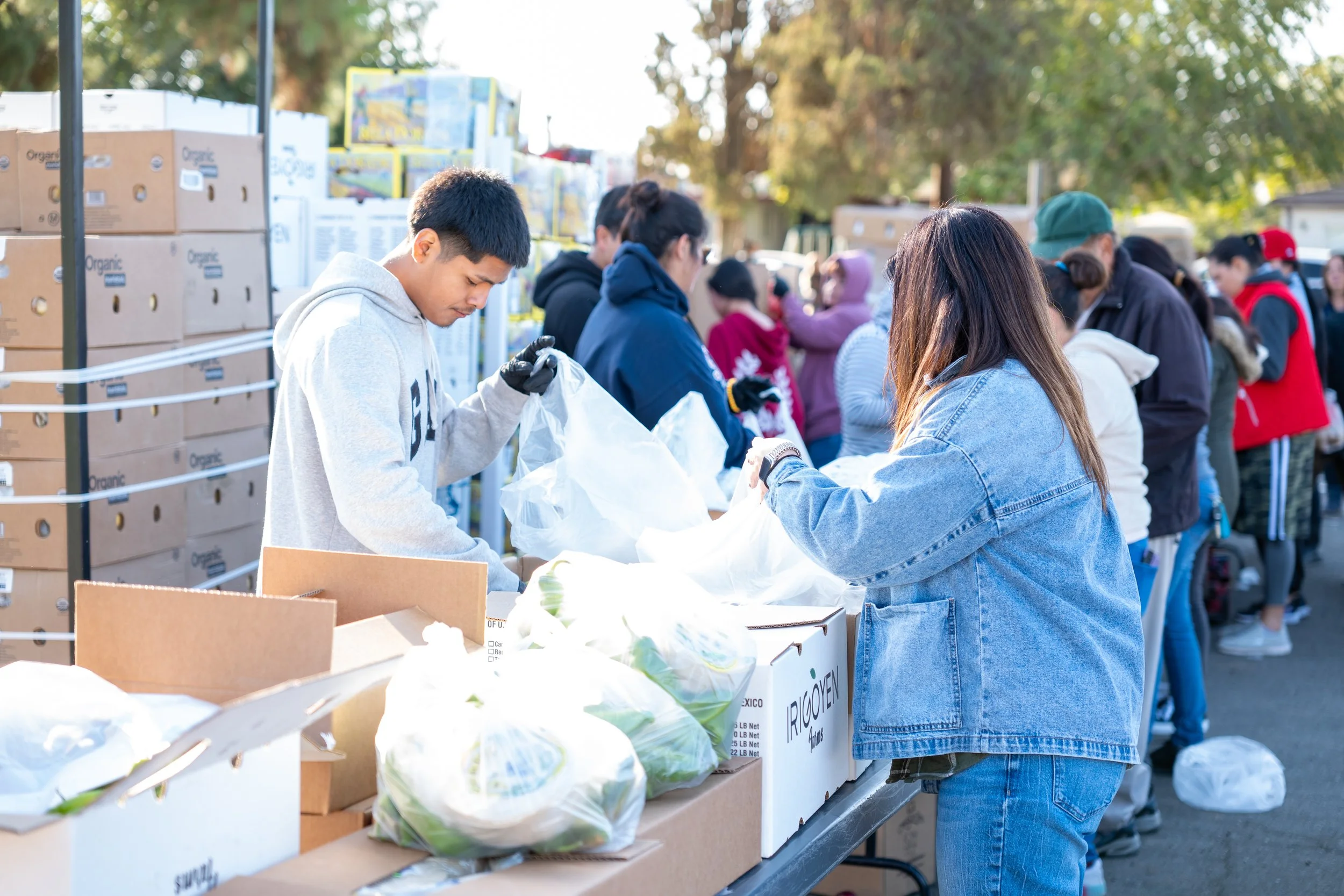 KCAO’s November Food Distributions Bring Meals to Thousands
