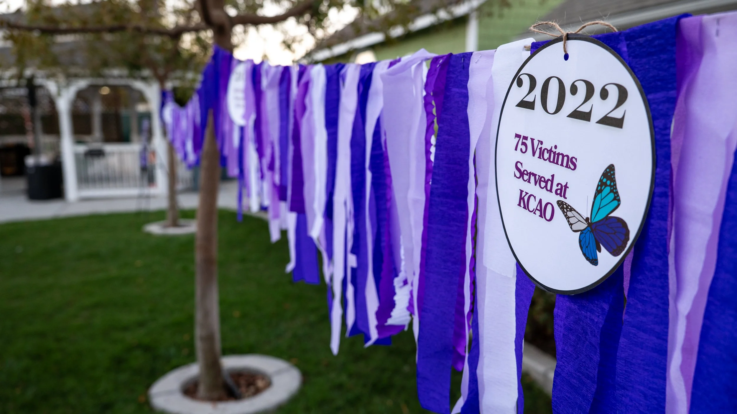 DV Awareness Event-12.jpg
