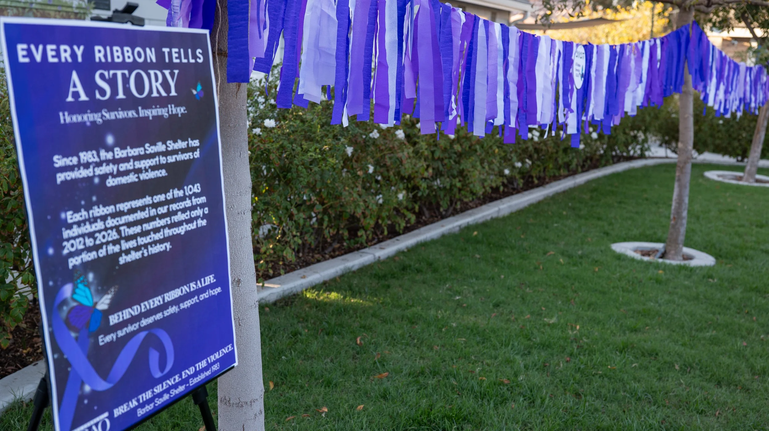 DV Awareness Event-2.jpg