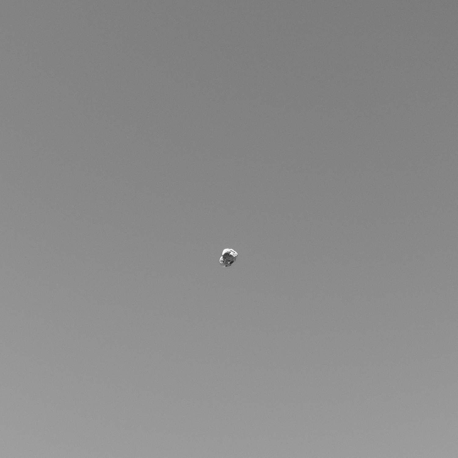 Ryan Boatright Throwing Rocks-8.png
