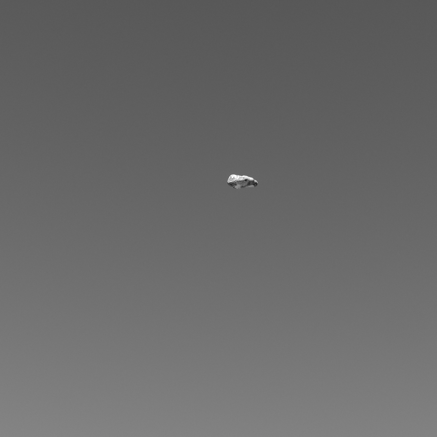 Ryan Boatright Throwing Rocks-1.png