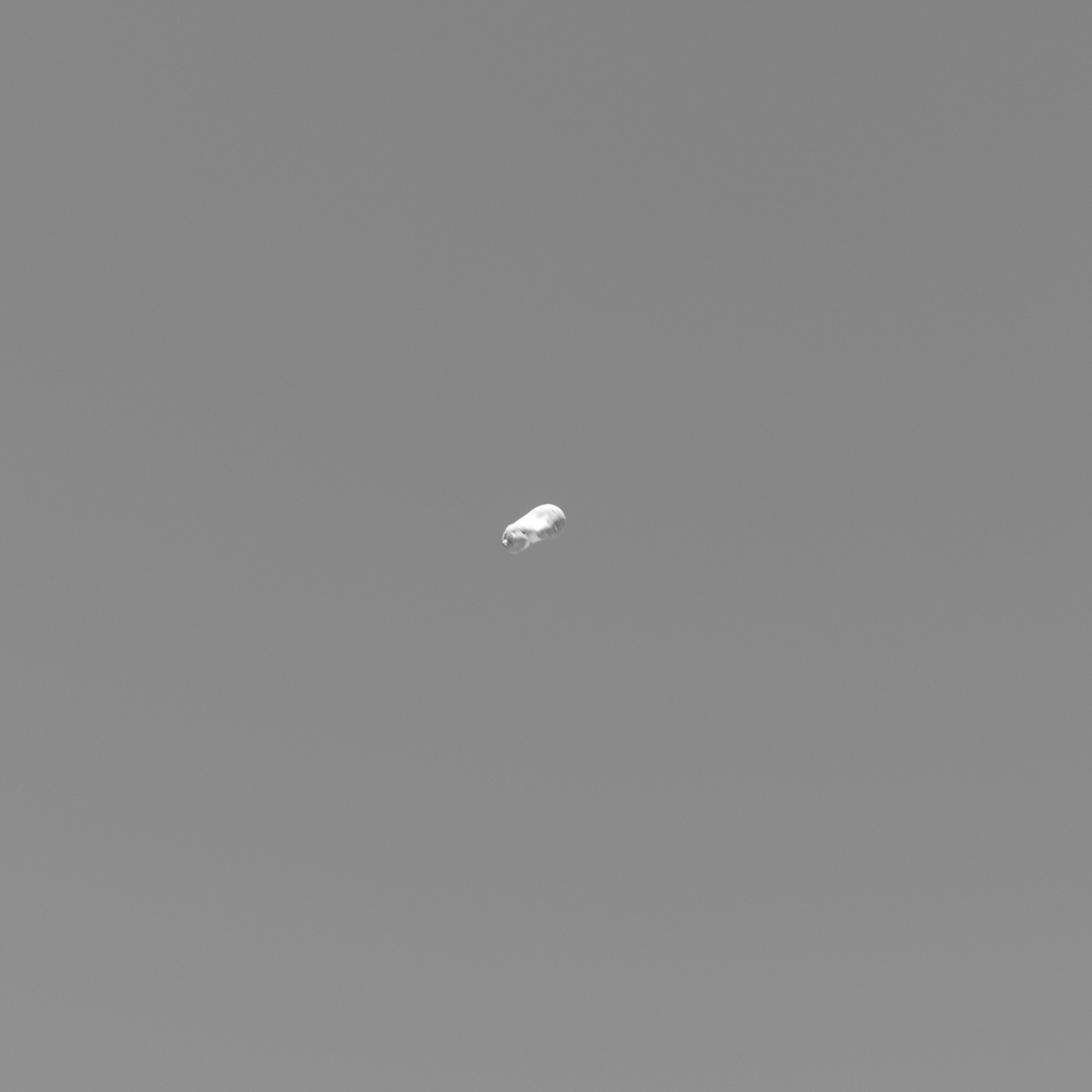 Ryan Boatright Tracking Rocks-6.png