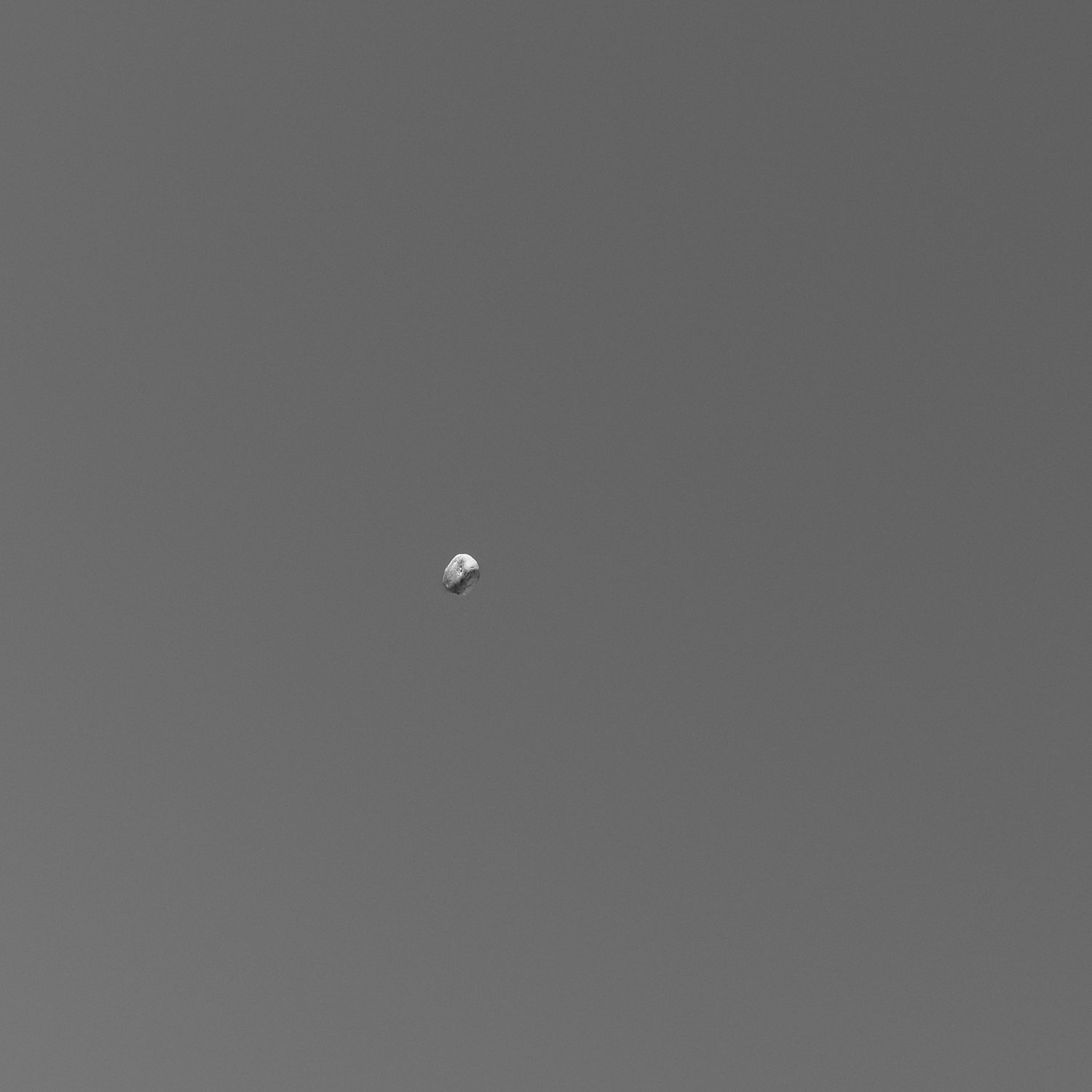 Ryan Boatright Throwing Rocks-2.png