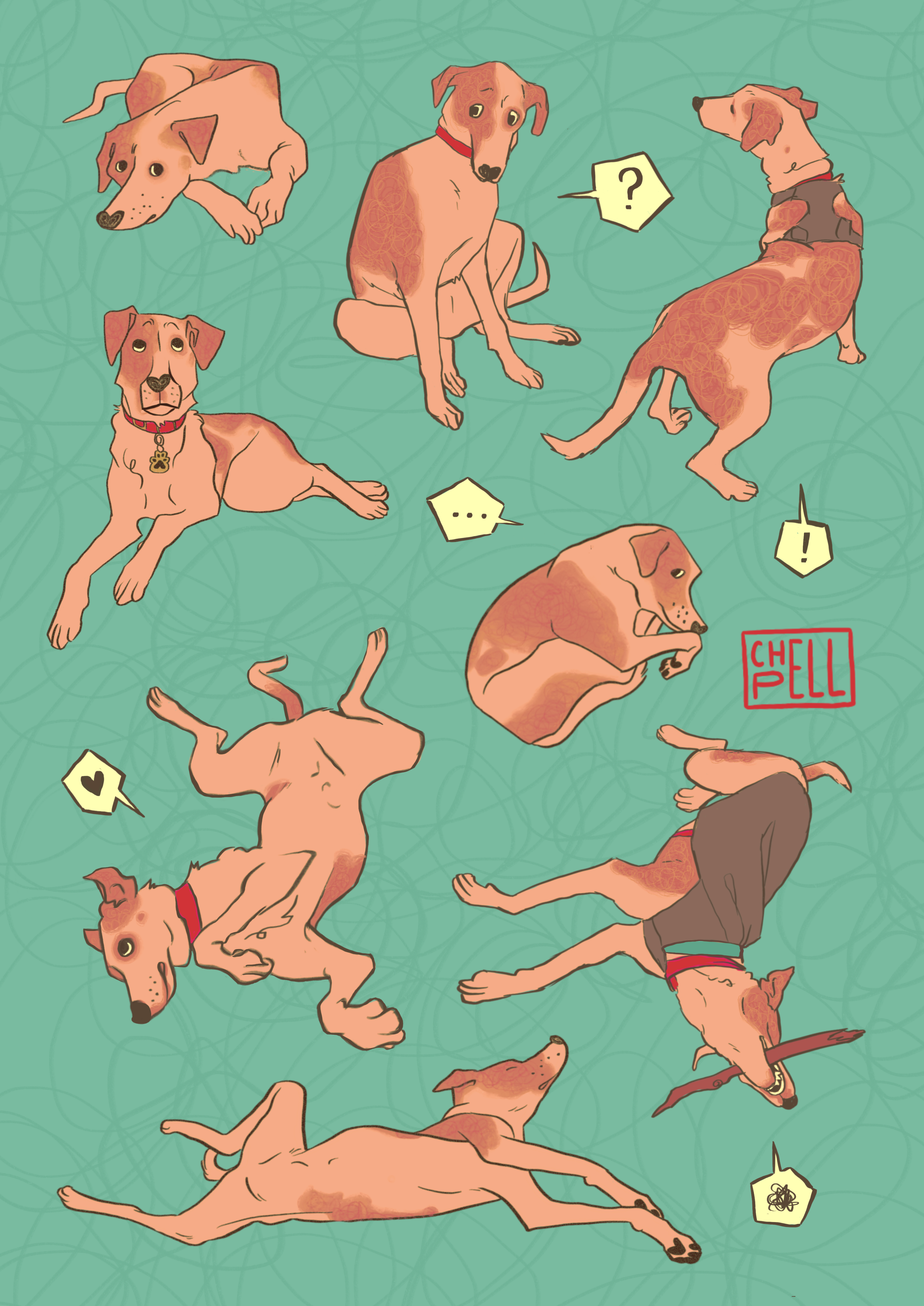 "Silly Dog Postcard" - Digital