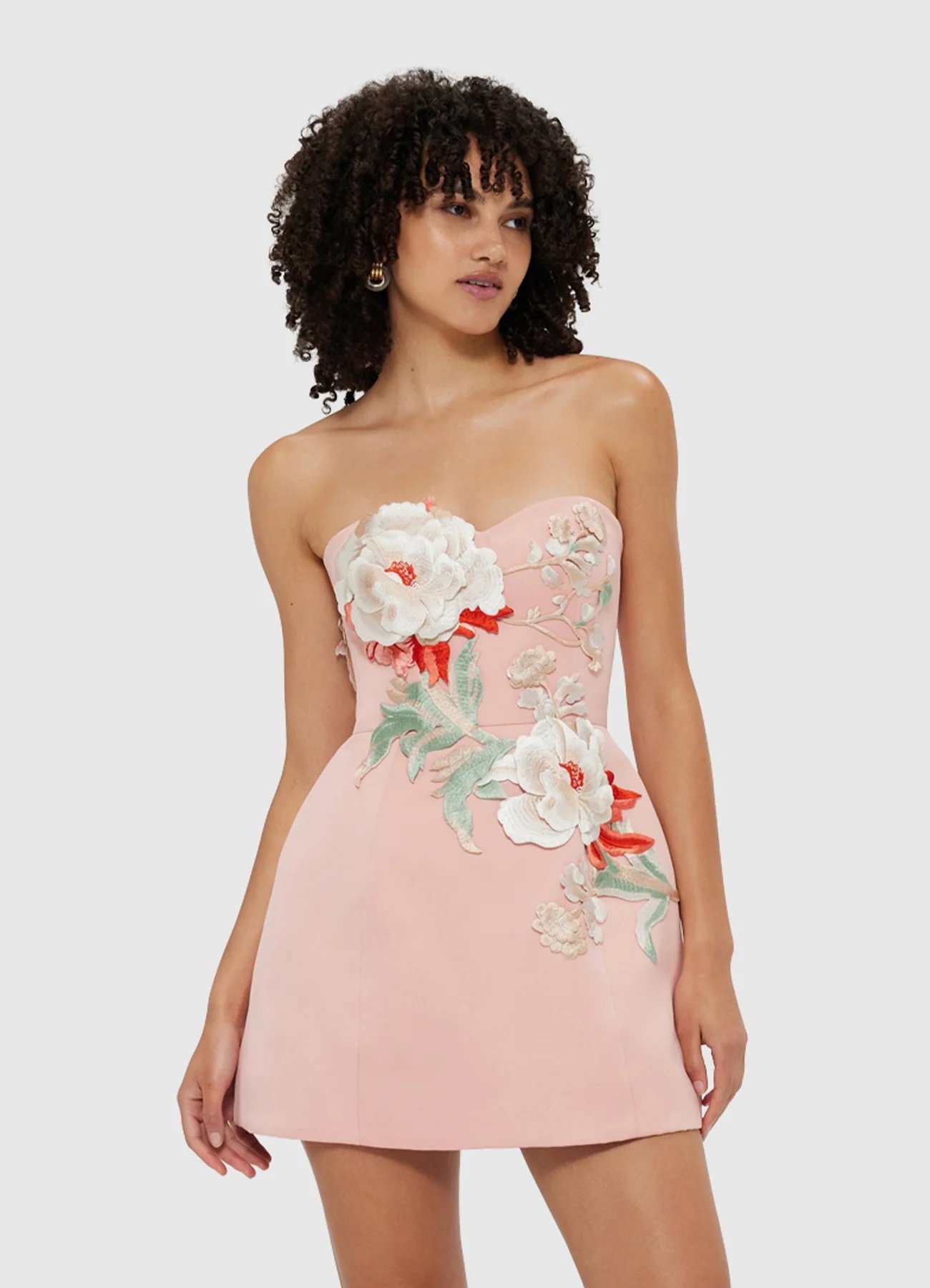 LLRE250011_Rosario-Embroidered-Bustier-Mini-Dress_Light-Rose_4_033_51697afe-df6a-4996-9892-a0b6e225f887.jpg