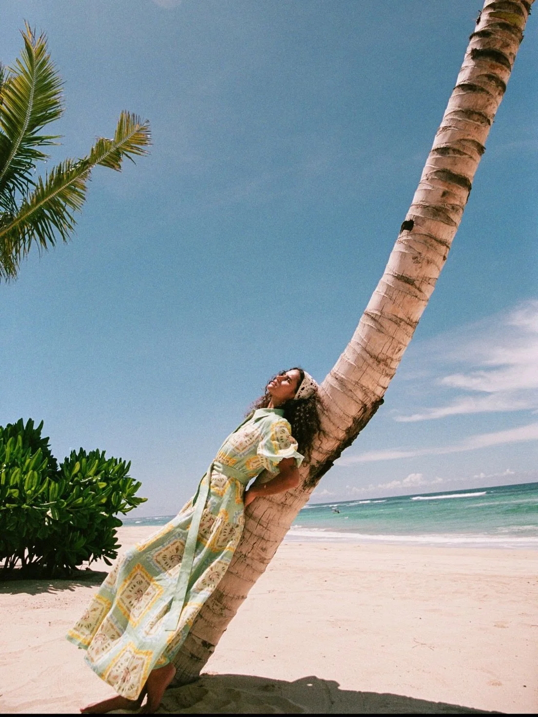 The Paddi Dress 

Crafted from a premium Linen blend in PALM NOOSA&rsquo;s exclusive Saya Shells print. Designed with a fixed waist and elasticated back for ease of fit, the Paddi Dress flows into an A-line skirt for a flattering silhouette. Complete