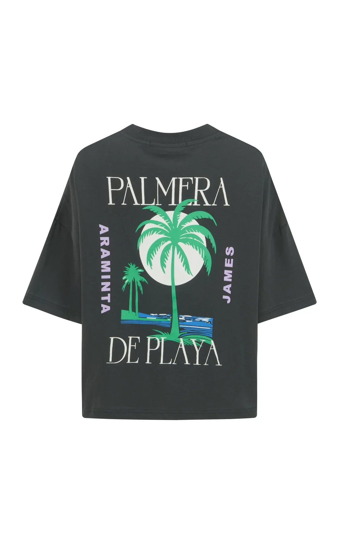 Palmera-Oversized-Tee-Washed-Black-ARAMINTA-JAMES8.webp