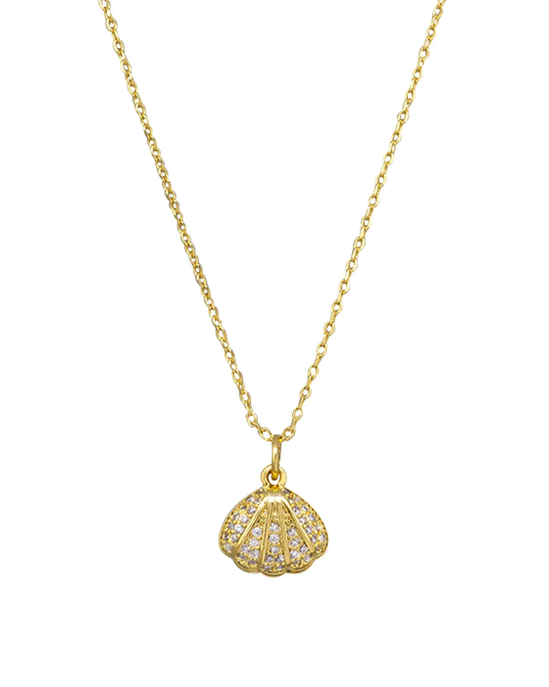 clam-necklace.webp
