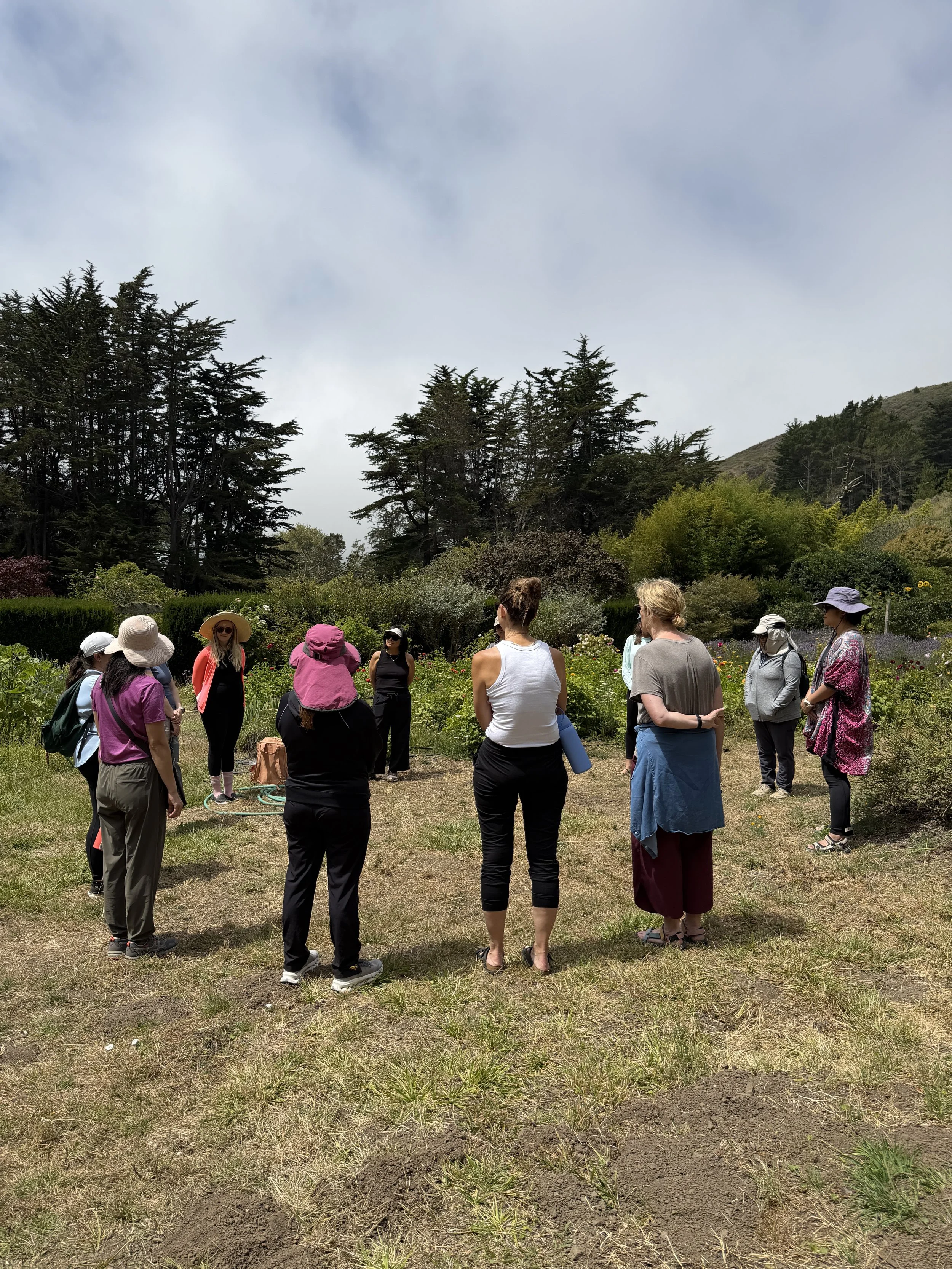 Group of people outdoor in a garden, wearing hats, casual clothes, and sunglasses, observing plants and flowers among trees and bushes, with hills and cloudy sky in the background.