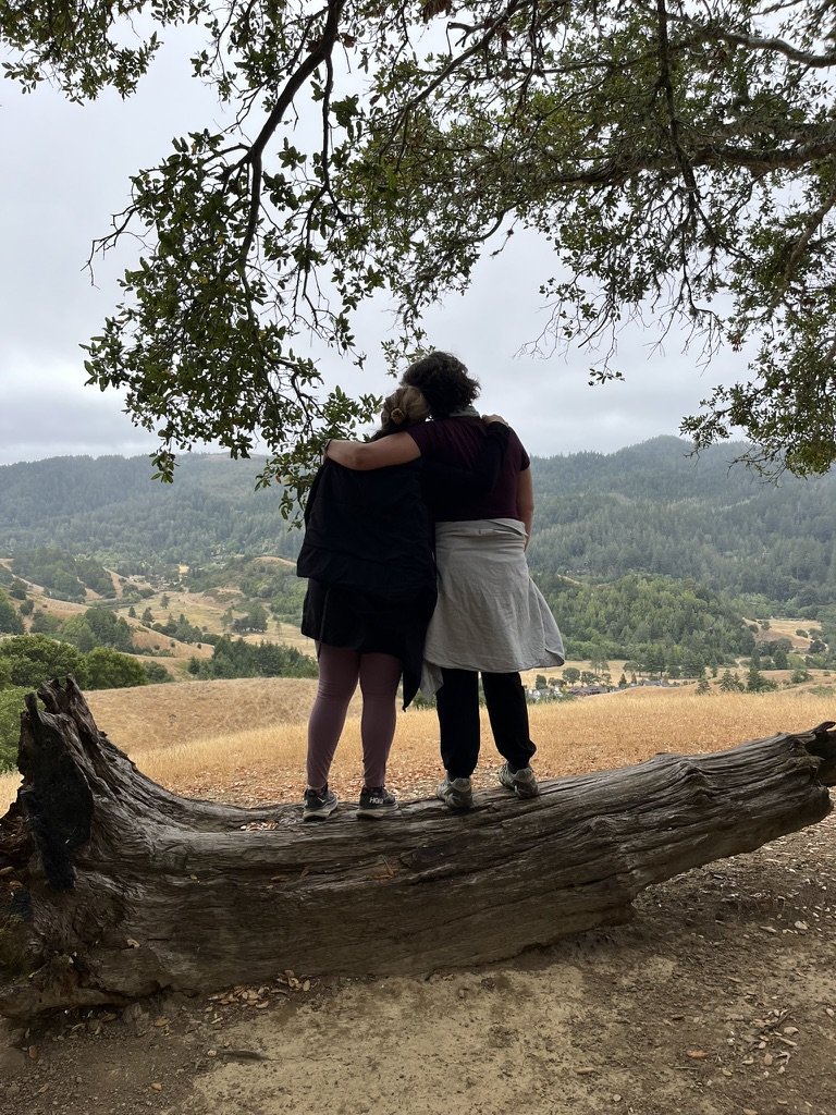 Two people stand on a large fallen log, embracing with arms around each other's shoulders, overlooking a scenic landscape of rolling hills, trees, and distant mountains during daytime.