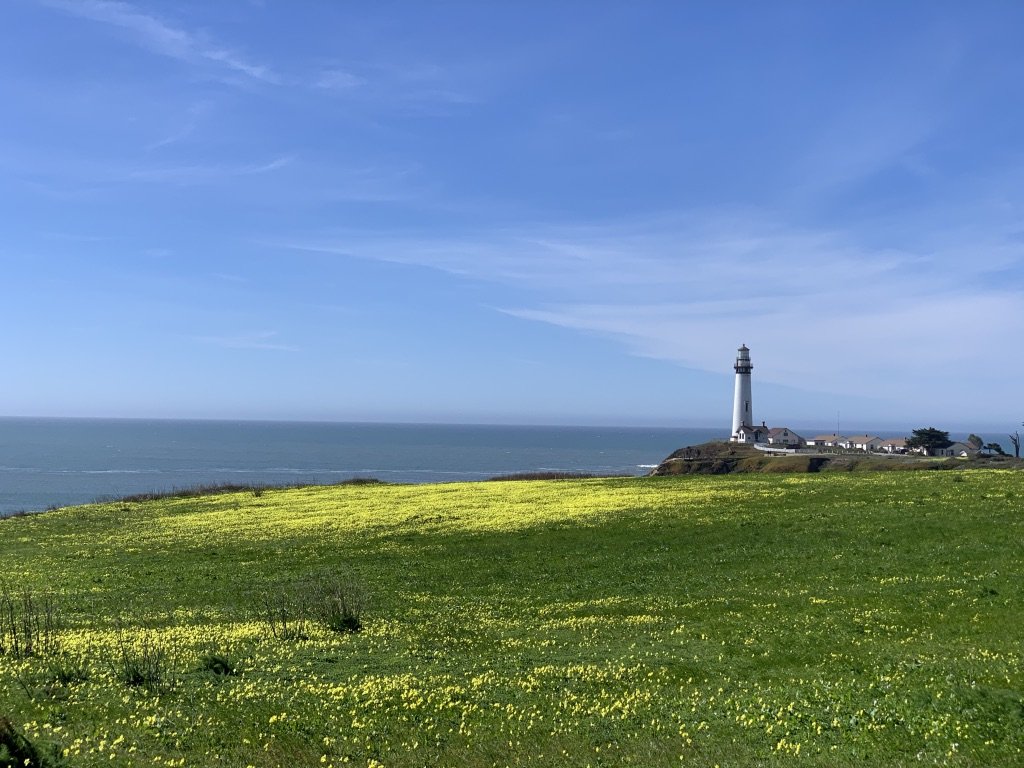 lighthouse pigeon point.jpeg