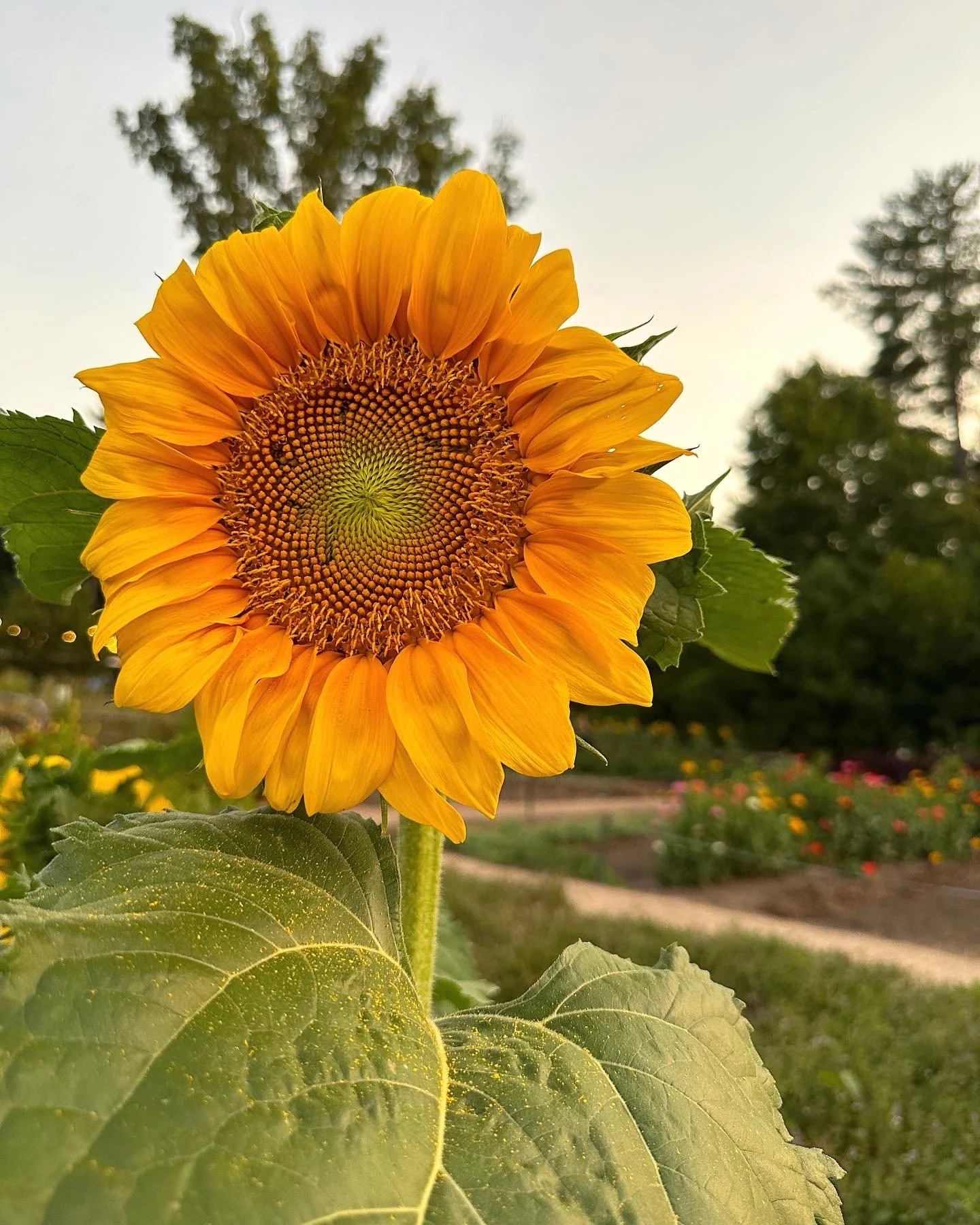 The better you are at helping people the worse you likely are at promoting yourself