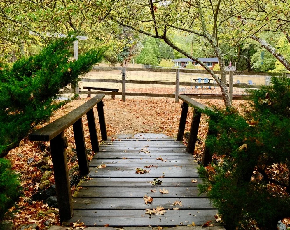 Love on a Different Wavelength: Finding Harmony in a Neurodiverse Relationship