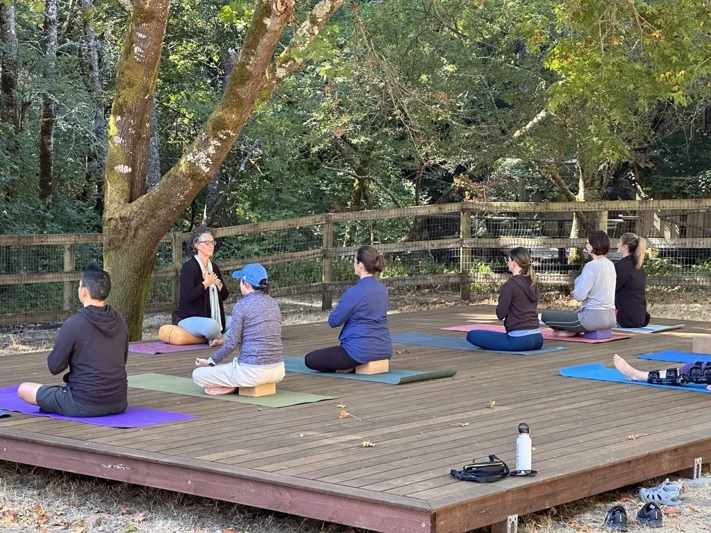 Group of people participating in an outdoor yoga or meditation class on a wooden deck surrounded by trees.