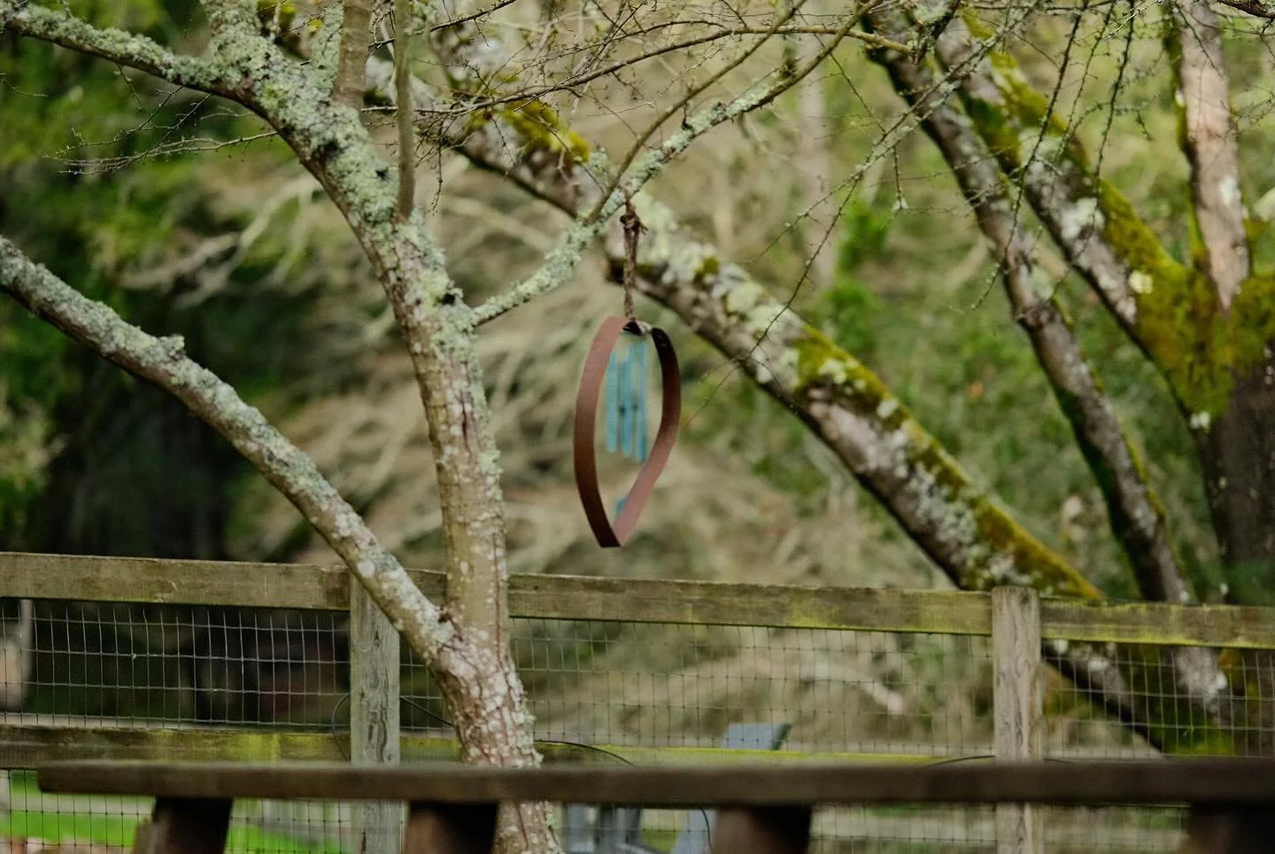 Prune to Bloom: What Gardens and Farms Teach Us About Life, Growth, and Letting Go