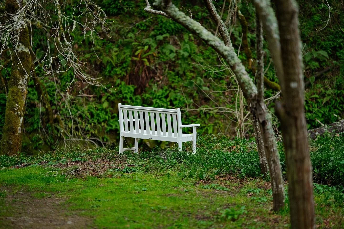 Why Physicians Find Negotiating Challenging—and What They Can Do To Negotiate Better