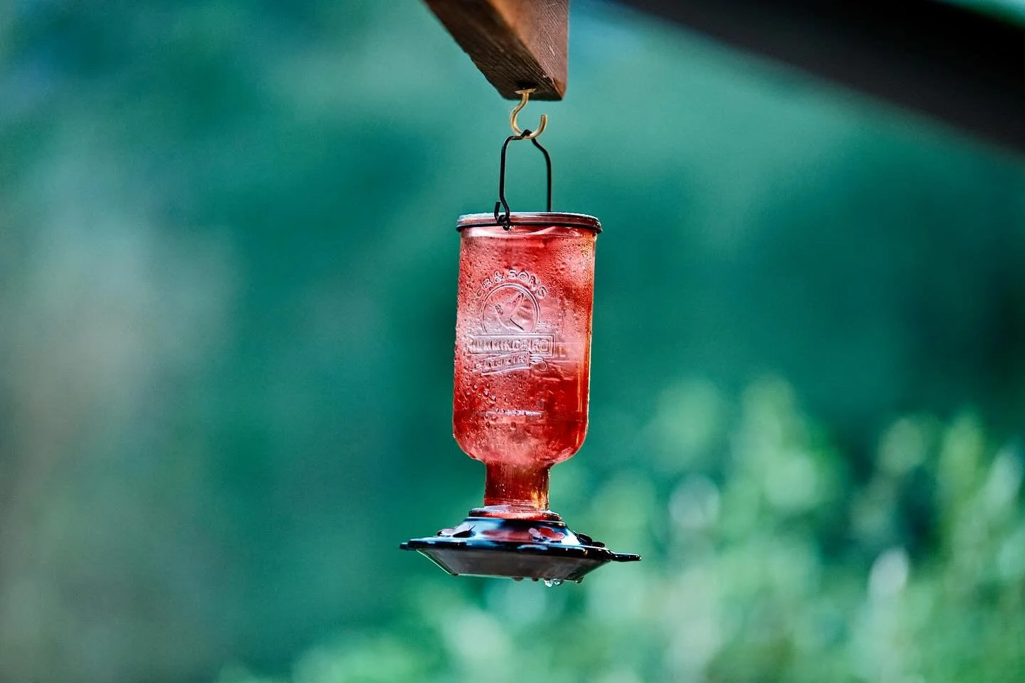 What Taxes Taught Me About Trust, Compassion, and Letting Go