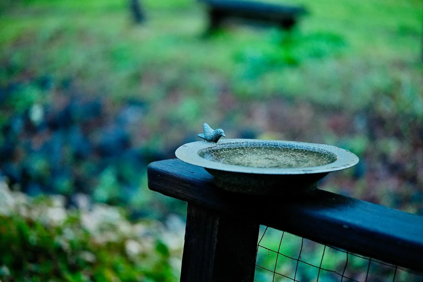 Why Women Struggle to Advocate for Themselves