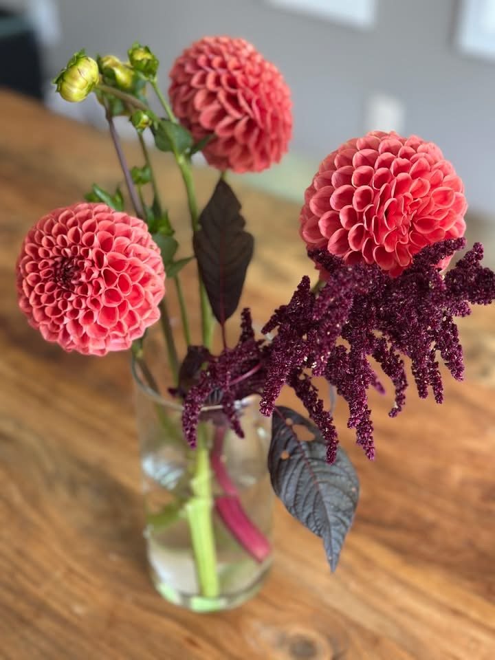 Clarity, Lightness, and Seeing Anew: Life Lessons from Cleaning Windows