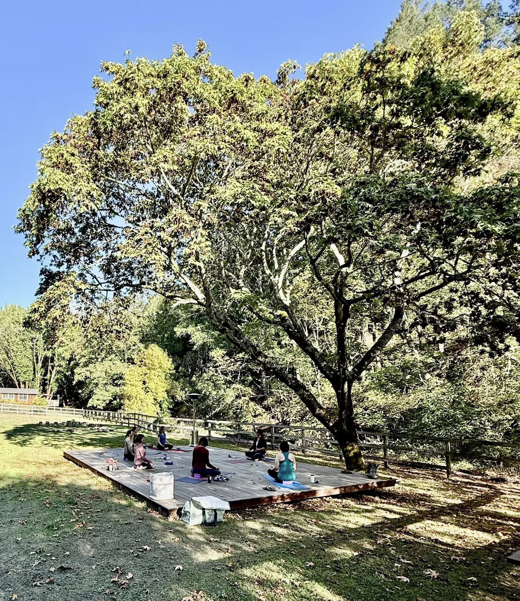 “Expensive” Thoughts