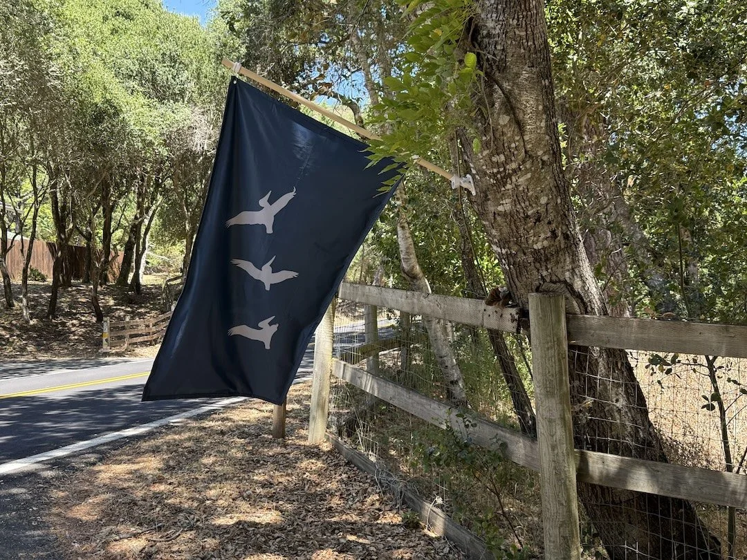 Did your life not turn out the way you thought it would or should?