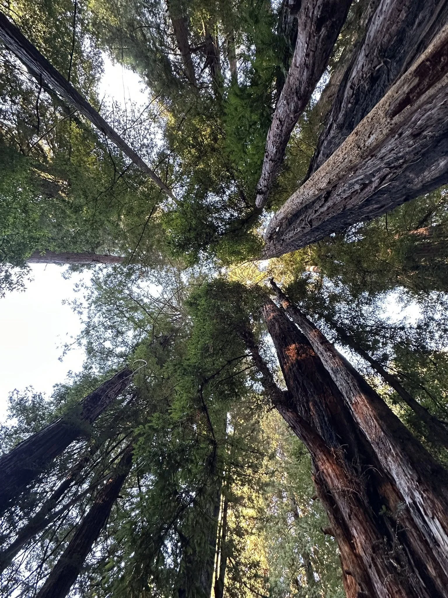 What Do You Want More Of?