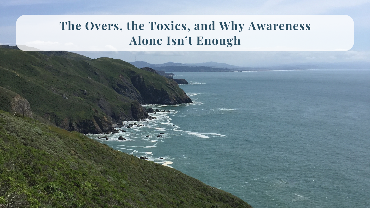 290. The Overs, the Toxics, and Why Awareness Alone Isn’t Enough