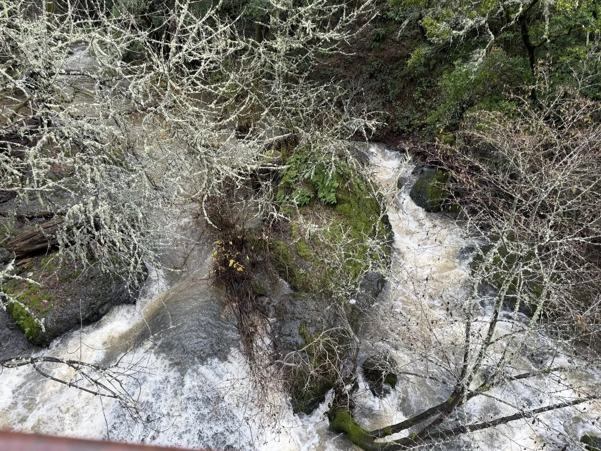 Heart-Centered Physician Leadership Without Burnout