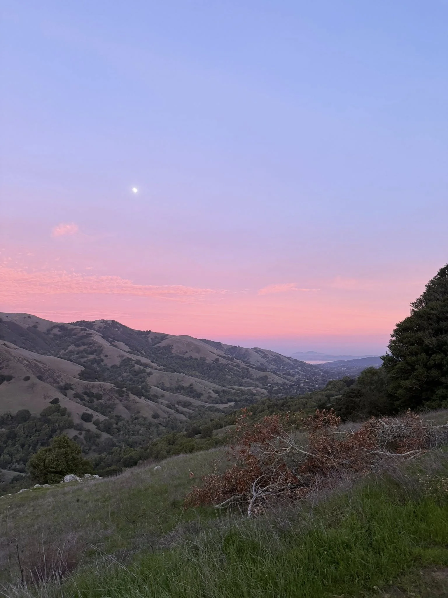 When Minor Criticism Feels Unsafe: Understanding the Physician Nervous System