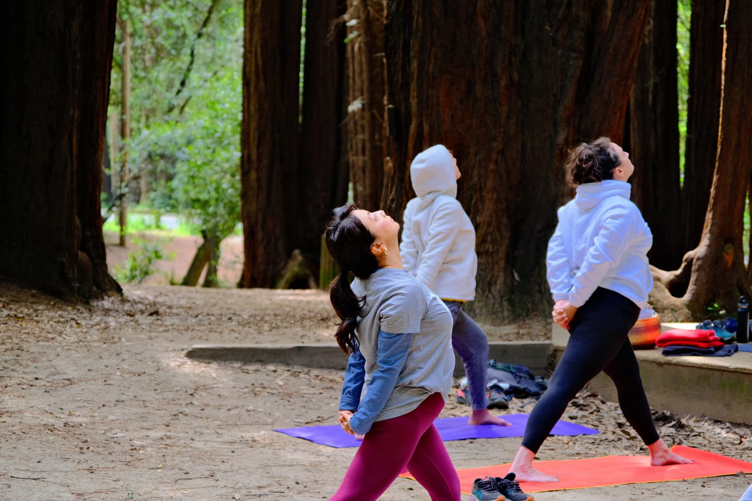 Four women practicing yoga outdoors in a forest, standing on yoga mats with tall trees behind them.